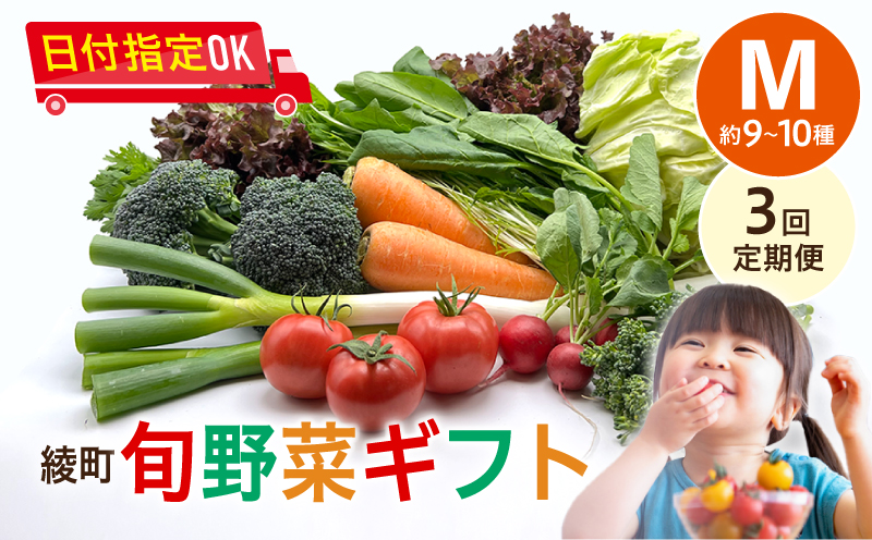綾町旬野菜ギフト（Mサイズ）【全３回定期便】