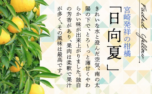 【先行受付】初春の旬「日向夏」種なし 2.5kg / 日向夏 ひゅうがなつ 柑橘 フルーツ 綾町 宮崎県