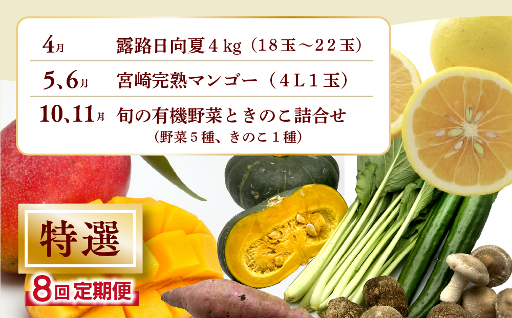 【全8回お届け】特選！！宮崎県綾町産 果物・野菜定期便 [Y20]