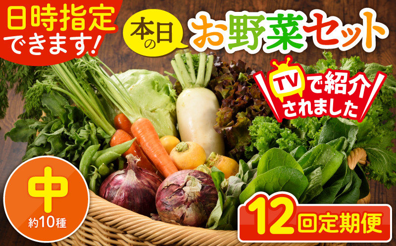 日時指定可能！本日のお野菜セット（サイズ中）【全12回定期便】