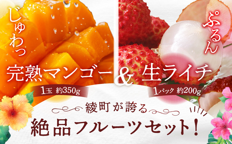 【先行予約/数量限定】希少 完熟マンゴー＆生ライチセット / 1玉 1パック 宮崎県産 綾町産 濃厚 甘い 果物 南国 フルーツ 高級 マンゴー 国産ライチ 産地直送 期間限定 冷蔵 送料無料 お中元 ふるさと納税