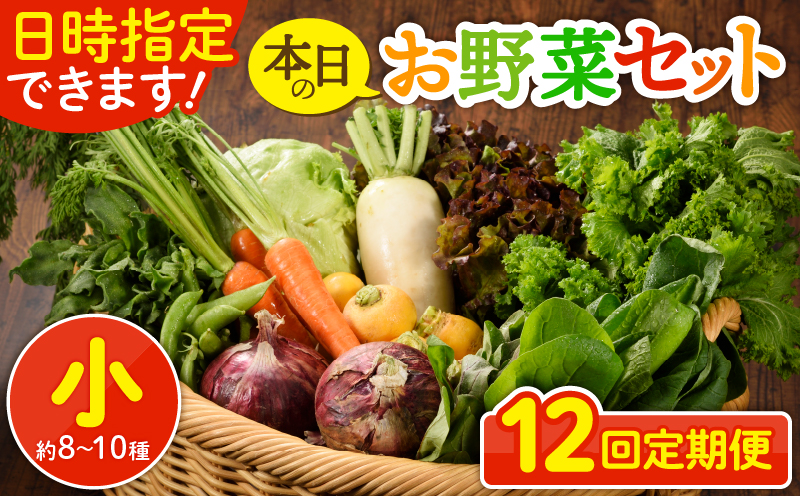日時指定可能！本日のお野菜セット（サイズ小）約8～10種【全12回定期便】