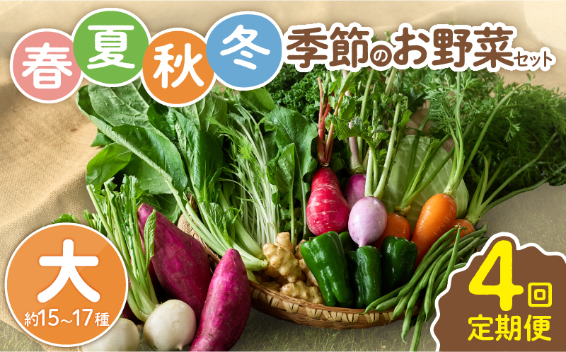 【全４回定期便】春夏秋冬 季節のお野菜セット（サイズ大）約15～17種
