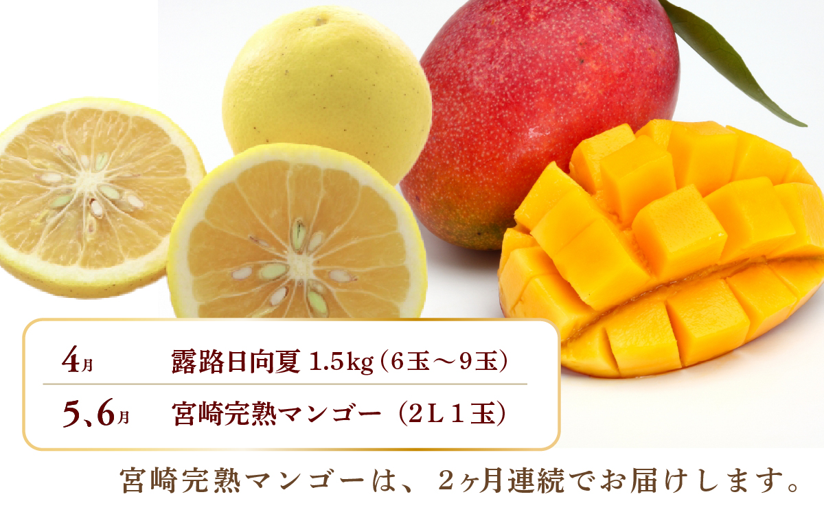 【全6回お届け】宮崎県綾町産 果物定期便 [X22]