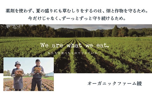 【有機JAS】 ジュースに最適！たっぷりにんじん６kg！（訳ありふぞろい規格）