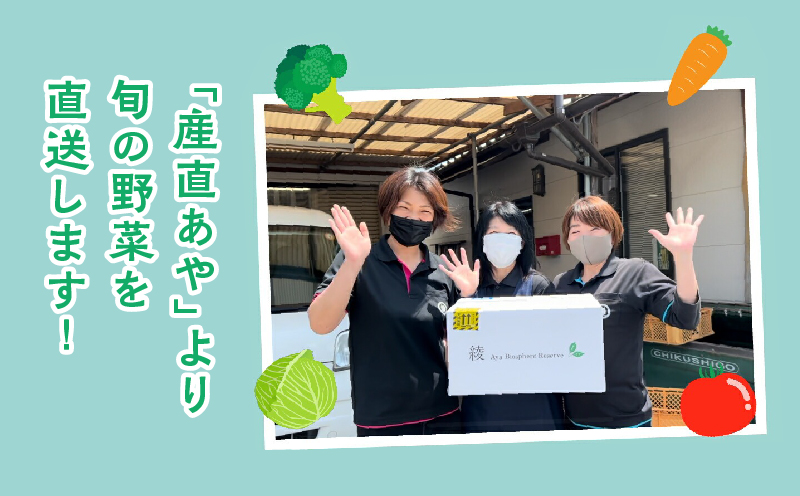 綾町旬野菜ギフト（Mサイズ）【全３回定期便】_A0004-105