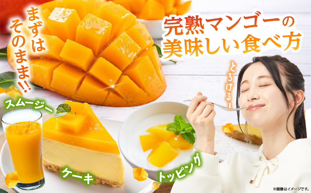 ãèš³ãããå®çãã³ãŽãŒ 2LÃ5çïŒããã¯ïŒãæ¿å é«çŽ å®®åŽ æç© ãã«ãŒã èŽç ã®ãã çã å
è¡åä» éæç¡æããJAç¶Ÿçºã_A0114-1081