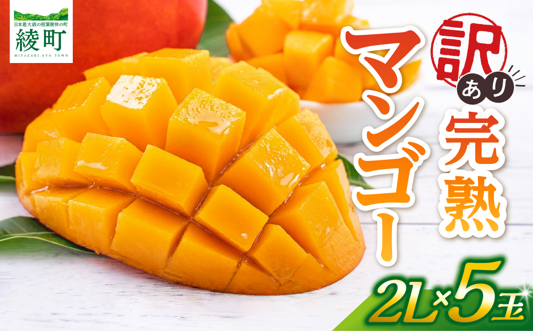 【訳あり】完熟マンゴー 2L×5玉（パック）【濃厚 高級 宮崎 果物 フルーツ 贈答 ギフト 甘い 先行受付 送料無料】【JA綾町】_A0114-1081