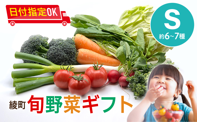 綾町旬野菜ギフト（Sサイズ）_A0004-100
