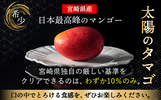 完熟マンゴー『太陽のタマゴ』２玉（約１kg）【JA綾町】_A0114-1001