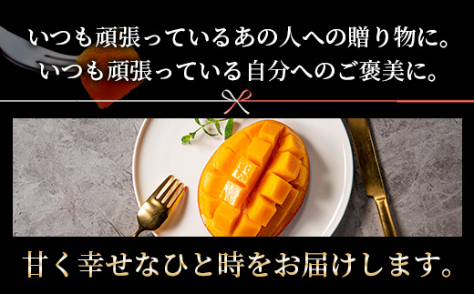 完熟マンゴー『太陽のタマゴ』２玉（約１kg）【JA綾町】_A0114-1001