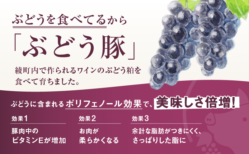 【希少】 宮崎県産 ブランド豚 「綾ぶどう豚」 しゃぶしゃぶセット 1.2kg (400g×3パック) 【モモ 豚バラ ロース 食べ比べ 国産 ブランド豚 豚肉 小分け 冷凍 冷しゃぶ 鍋 豚しゃぶ しゃぶしゃぶ肉 冷凍 和豚 ポーク 人気 おすすめ 送料無料 綾町】_A0013-015