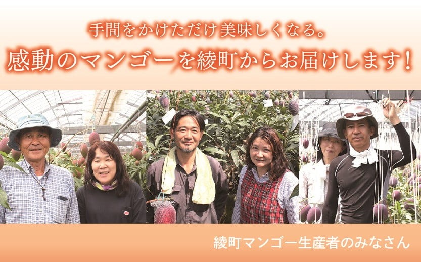 完熟マンゴー『太陽のタマゴ』２玉（約１kg）【JA綾町】_A0114-1001