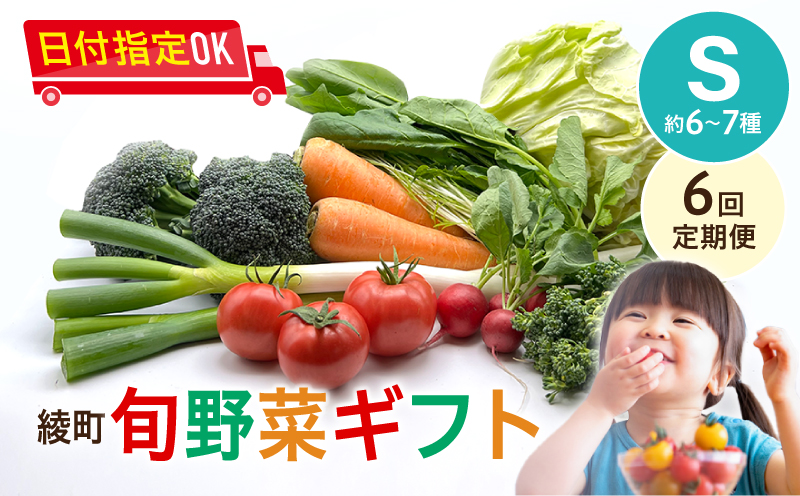 綾町旬野菜ギフト（Sサイズ）【全６回定期便】_A0004-102