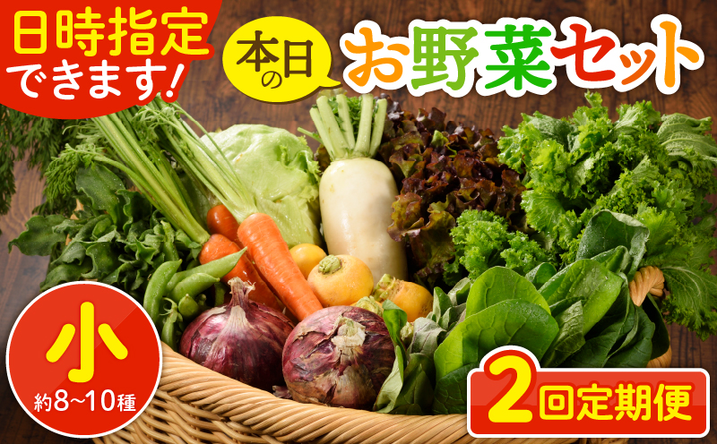 日時指定可能！本日のお野菜セット（サイズ小）約8～10種【全２回定期便】_A0053-002