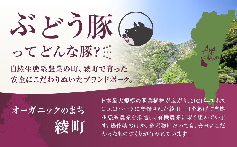 【希少】 宮崎県産 ブランド豚 「綾ぶどう豚」 しゃぶしゃぶセット 1.2kg (400g×3パック) 【モモ 豚バラ ロース 食べ比べ 国産 ブランド豚 豚肉 小分け 冷凍 冷しゃぶ 鍋 豚しゃぶ しゃぶしゃぶ肉 冷凍 和豚 ポーク 人気 おすすめ 送料無料 綾町】_A0013-015