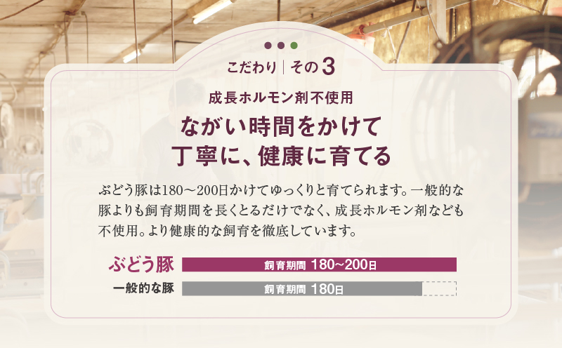 【希少】 宮崎県産 ブランド豚 「綾ぶどう豚」 しゃぶしゃぶセット 1.2kg (400g×3パック) 【モモ 豚バラ ロース 食べ比べ 国産 ブランド豚 豚肉 小分け 冷凍 冷しゃぶ 鍋 豚しゃぶ しゃぶしゃぶ肉 冷凍 和豚 ポーク 人気 おすすめ 送料無料 綾町】_A0013-015