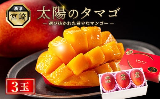 完熟マンゴー『太陽のタマゴ』３玉（約１kg）【JA綾町】_A0114-1011