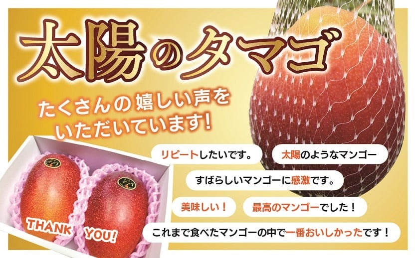 完熟マンゴー『太陽のタマゴ』３玉（約１kg）【JA綾町】_A0114-1011