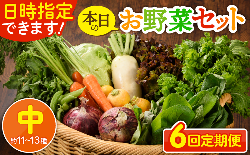 日時指定可能！本日のお野菜セット（サイズ中）約11～13種【全６回定期便】_A0053-007