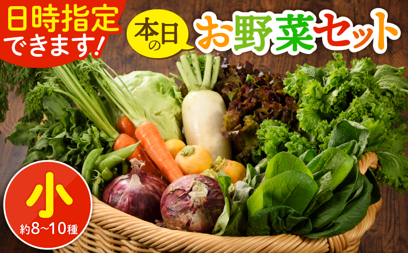 日時指定可能！本日のお野菜セット（サイズ小）約8～10種_A0053-001