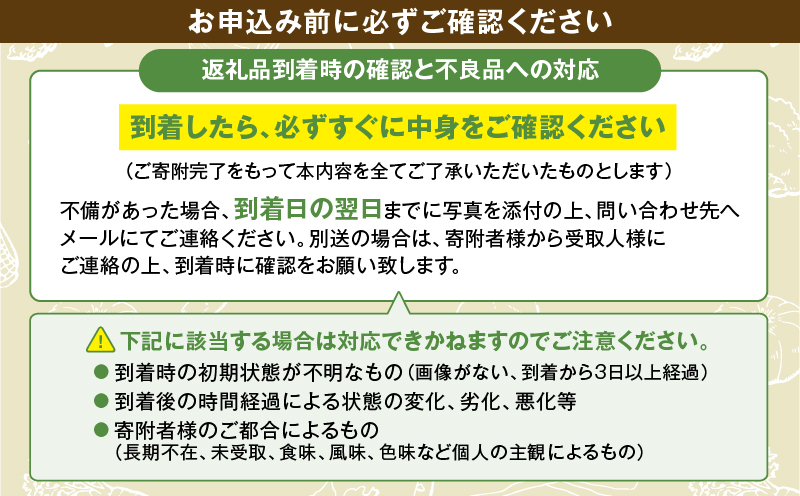 綾町旬野菜ギフト（Lサイズ）【全６回定期便】_A0004-110