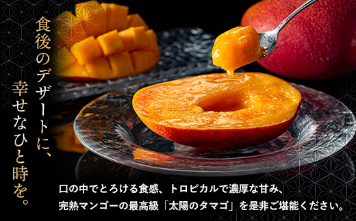 完熟マンゴー『太陽のタマゴ』３玉（約１kg）【JA綾町】_A0114-1011