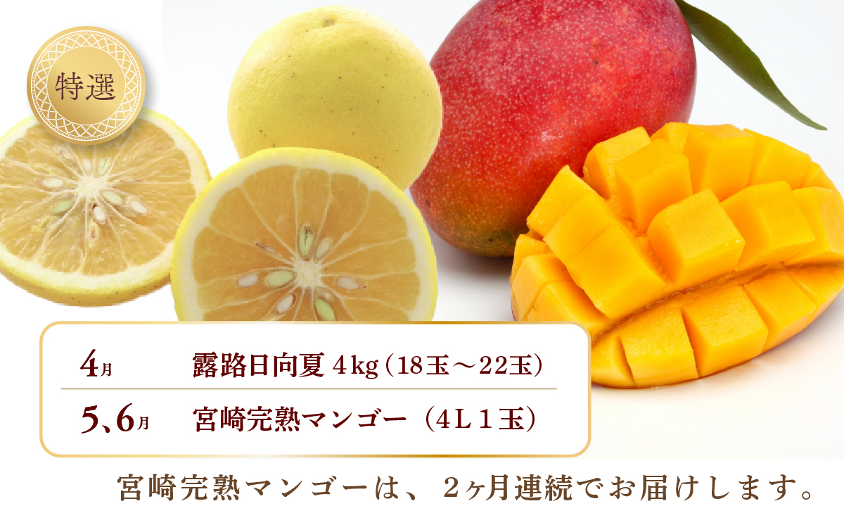 【全6回お届け】特選！！宮崎県綾町産 果物定期便 [Y22]_A0113-006