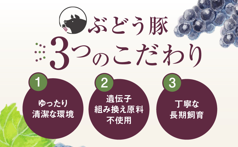 【希少】 宮崎県産 ブランド豚 「綾ぶどう豚」 しゃぶしゃぶセット 1.2kg (400g×3パック) 【モモ 豚バラ ロース 食べ比べ 国産 ブランド豚 豚肉 小分け 冷凍 冷しゃぶ 鍋 豚しゃぶ しゃぶしゃぶ肉 冷凍 和豚 ポーク 人気 おすすめ 送料無料 綾町】_A0013-015