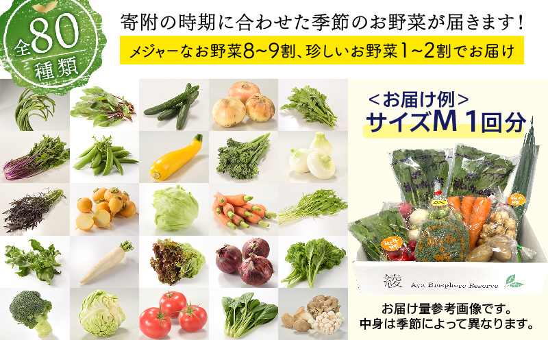 綾町旬野菜ギフト（Lサイズ）【全12回定期便】_A0004-111