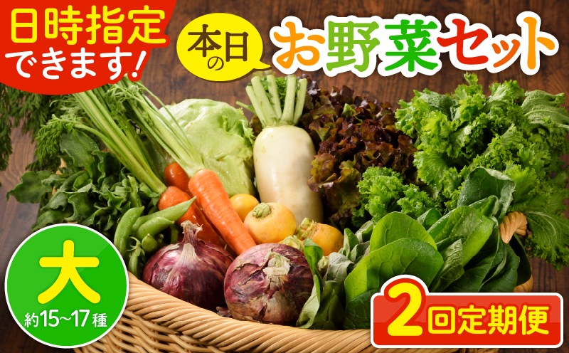 日時指定可能！本日のお野菜セット（サイズ大）約15～17種【全２回定期便】_A0053-010