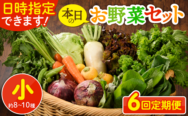 日時指定可能！本日のお野菜セット（サイズ小）約8～10種【全６回定期便】_A0053-003