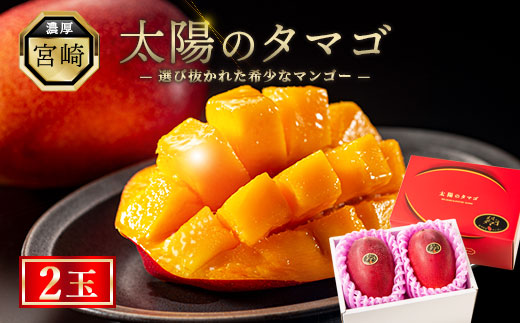 完熟マンゴー『太陽のタマゴ』２玉（約１kg）【JA綾町】_A0114-1001