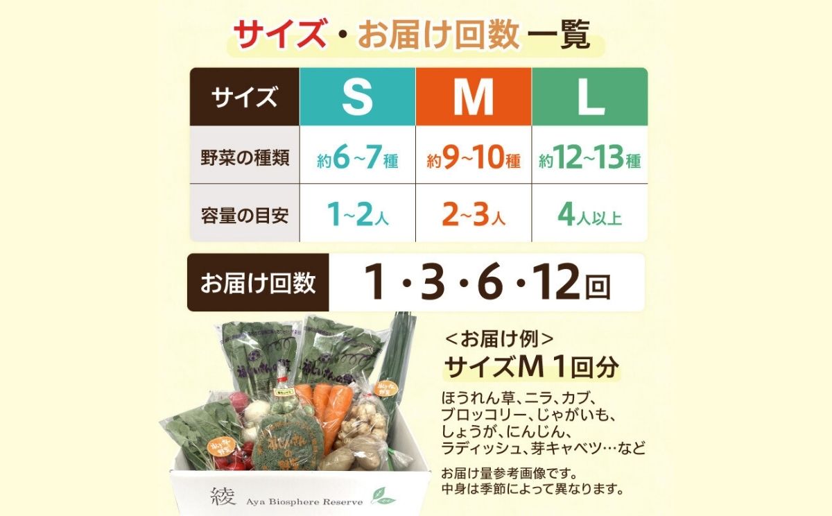綾町旬野菜ギフト（Lサイズ）【全６回定期便】_A0004-110