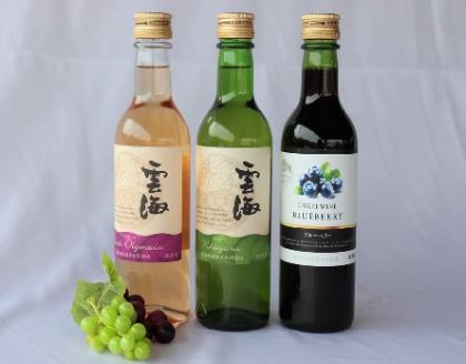 雲海ワイン お試しミニボトル 3種類 白 ブルーベリー 飲みやすい 甘口 ワイン 少量 360ml【雲海酒造】_A0114-064