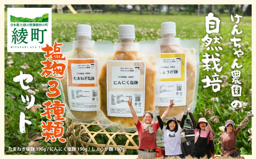 けんちゃん農園 塩麹 3種 腸活 セット_A0088-007