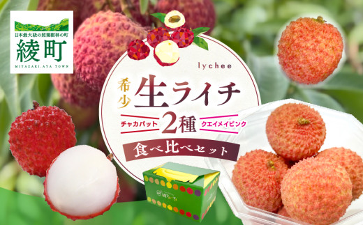 【数量限定】希少 国産 綾生ライチ 2種食べ比べセット / 宮崎県産  綾町 ライチ 希少 国産ライチ 果物 フルーツ 産地直送 お中元【JA綾町】_A0114-2341