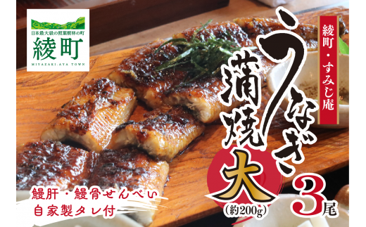 うなぎ蒲焼（大）３尾【食工房 すみじ庵】_A0114-188