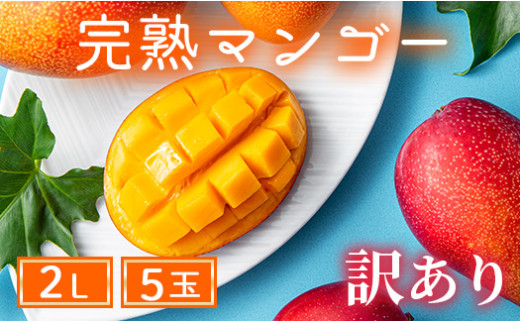 【訳あり】完熟マンゴー 2L×5玉（パック）【濃厚 高級 宮崎 果物 フルーツ 贈答 ギフト 甘い 先行受付 送料無料】【JA綾町】_A0114-108
