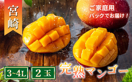 【先行予約/数量限定】完熟マンゴー ３L～４L×２玉（パック）濃厚 宮崎 高級 果物 フルーツ 贈答 ギフト 甘い 先行受付 送料無料【JA綾町】_A0114-230