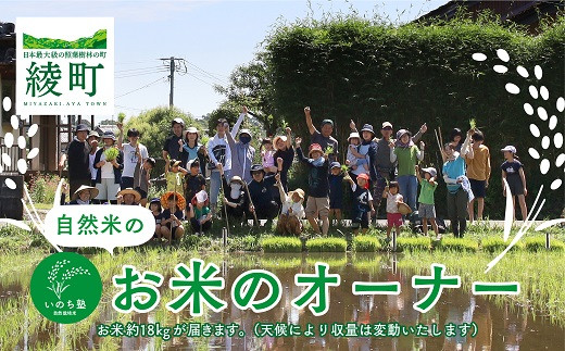 お米作りが出来る【自然米】18Kgのお米のオーナー_A0038-006