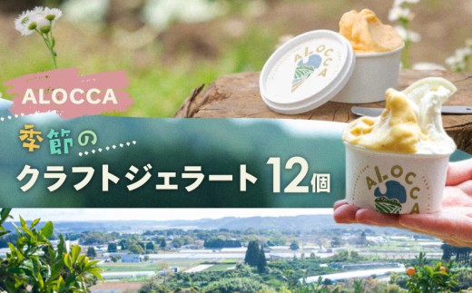 日時指定可能◎オーガニックタウン綾町から届く、季節のクラフトジェラート〈12個セット〉_A0093-003