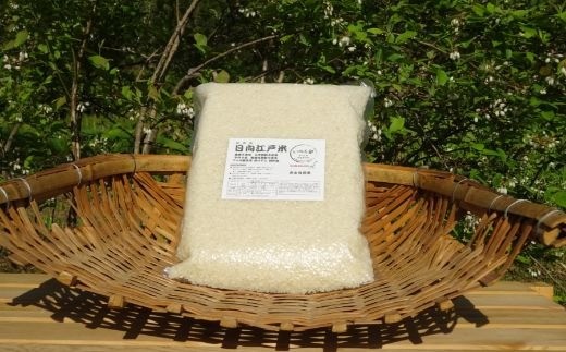 完全自然米 2.7kg【白米】_A0038-010