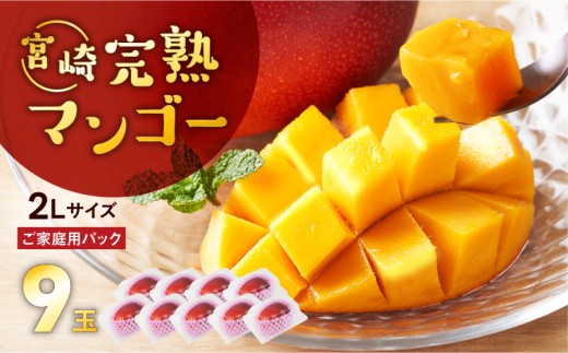 完熟マンゴー ２L×９玉（パック）【濃厚 宮崎 高級 果物 フルーツ 贈答 ギフト 甘い 送料無料 先行受付】【JA綾町】_A0114-103