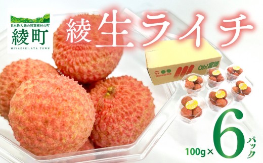 【数量限定】希少 綾生ライチ お裾分けセット  [６パック] 宮崎県 綾町産 ライチ 国産ライチ 果物 フルーツ 生ライチ 産地直送 期間限定 お中元 小分け 送料無料【JA綾町】_A0114-105