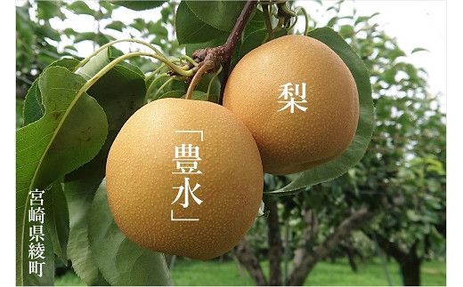 秋初め和梨「豊水」【JA綾町】_A0114-231