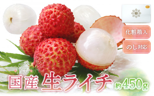 【先行予約/数量限定】希少 国産 綾生ライチ（化粧箱入り）  宮崎県 綾町産 ライチ 贈答 ギフト プレゼント 国産ライチ 果物 フルーツ 生ライチ 産地直送 期間限定 送料無料 お中元【JA綾町】_A0114-104