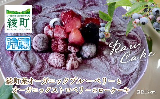 綾町産オーガニックブルーベリーとストロベリーのローケーキ_A0098-002