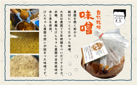 けんちゃん農園 自然栽 培味噌（大）・しょうゆ・3種の塩麹 腸活 調味料 コンプリートセット_A0088-008