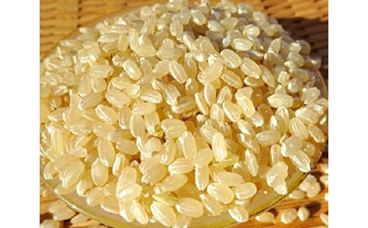 完全自然米 2.7kg【玄米】_A0038-011